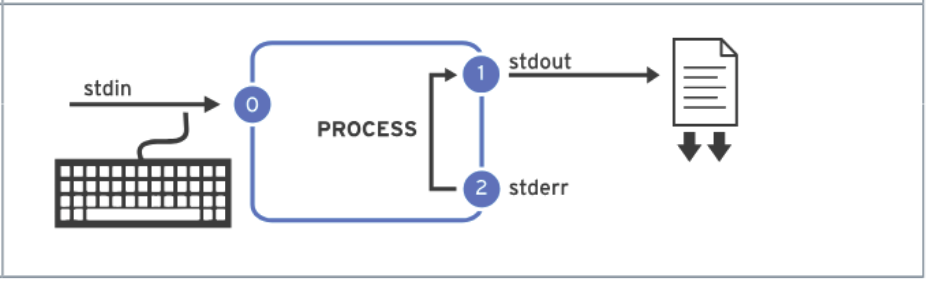 append output and error