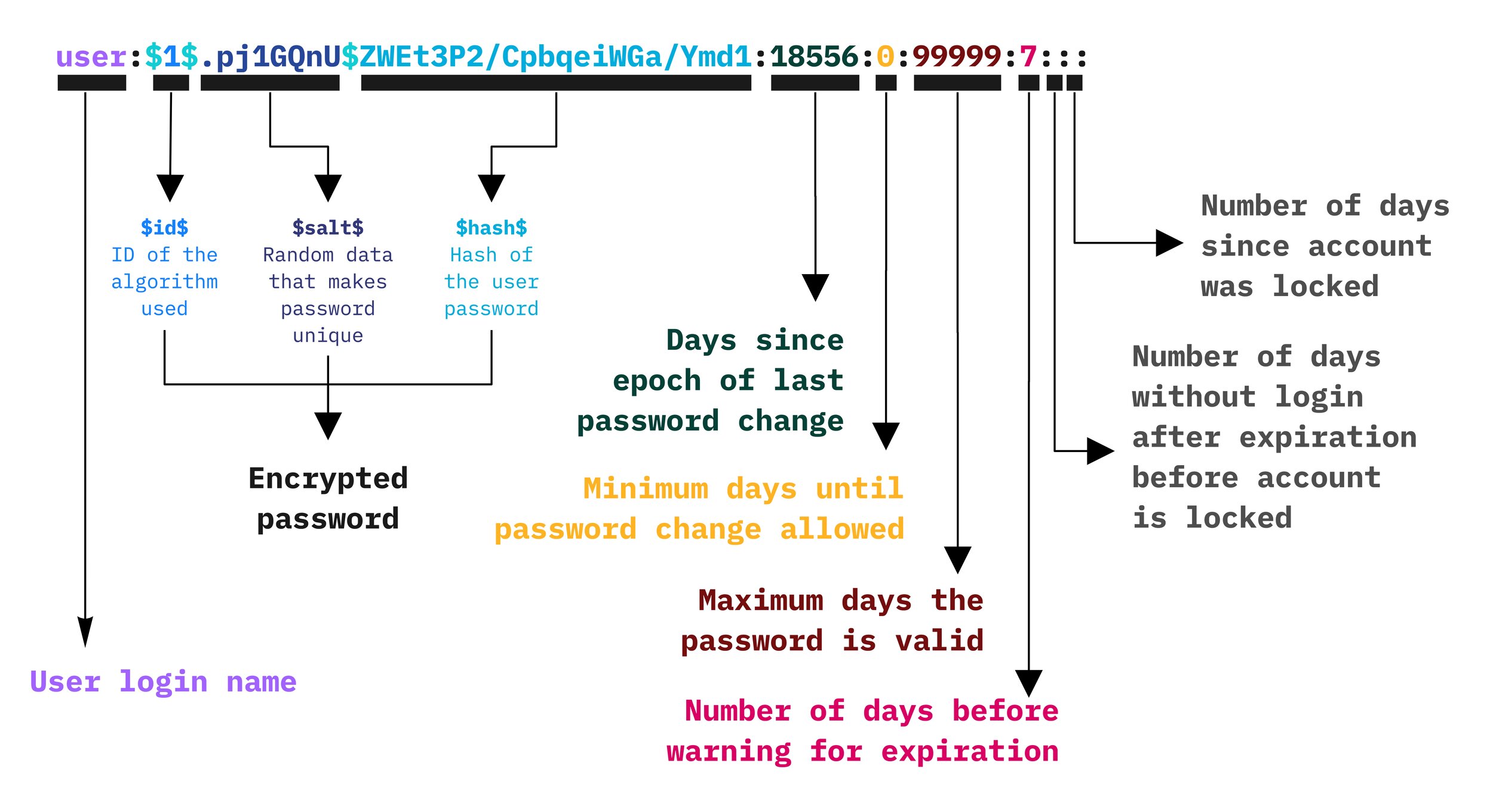 Password Info Diagram in /etc/shadow