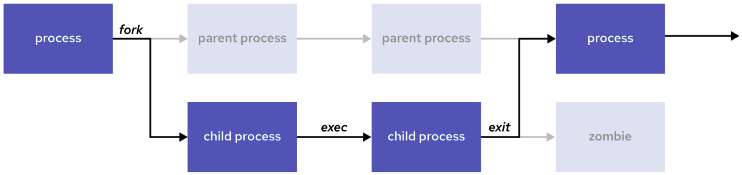 Process Life Cycle