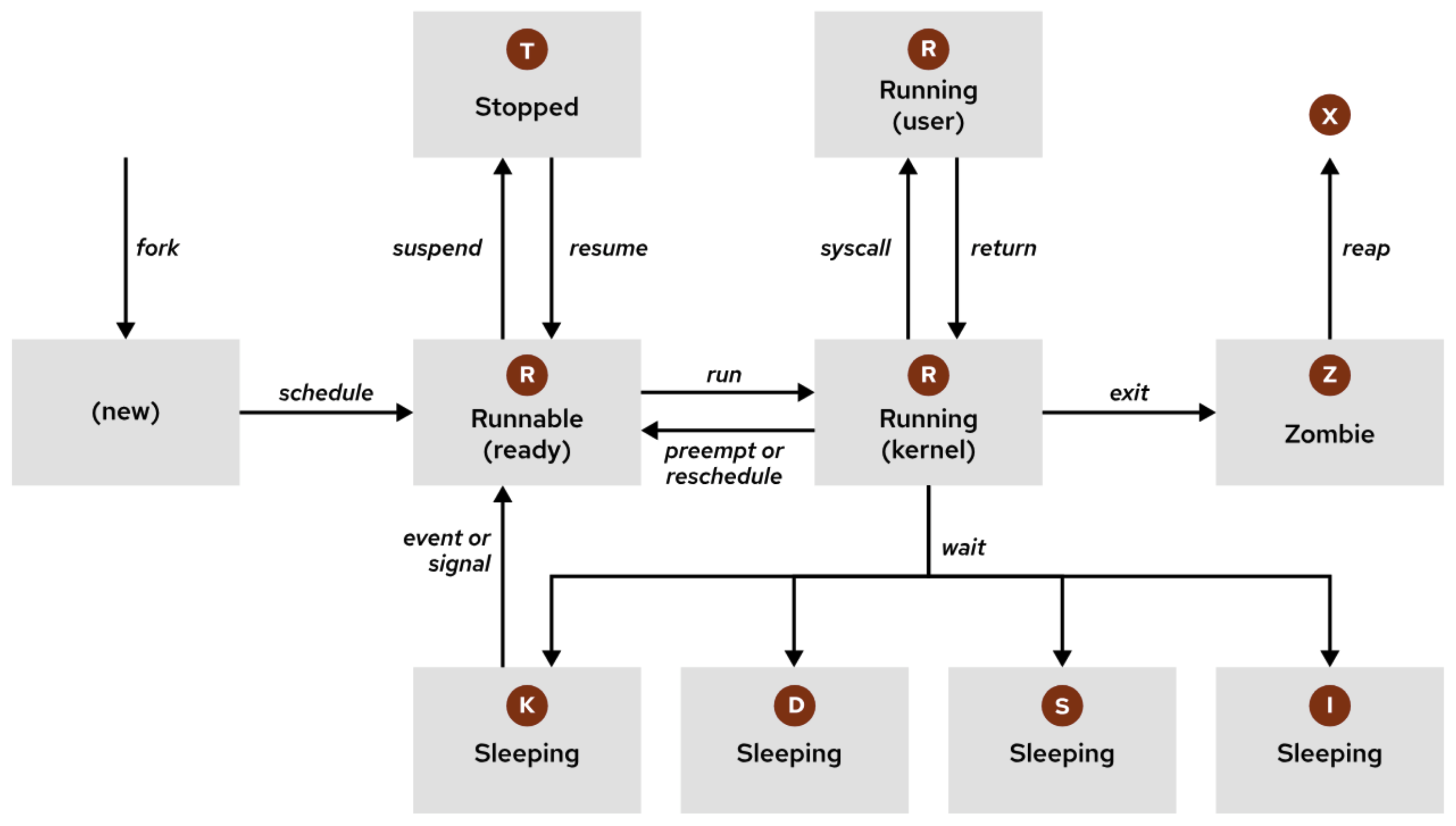 Linux Process States