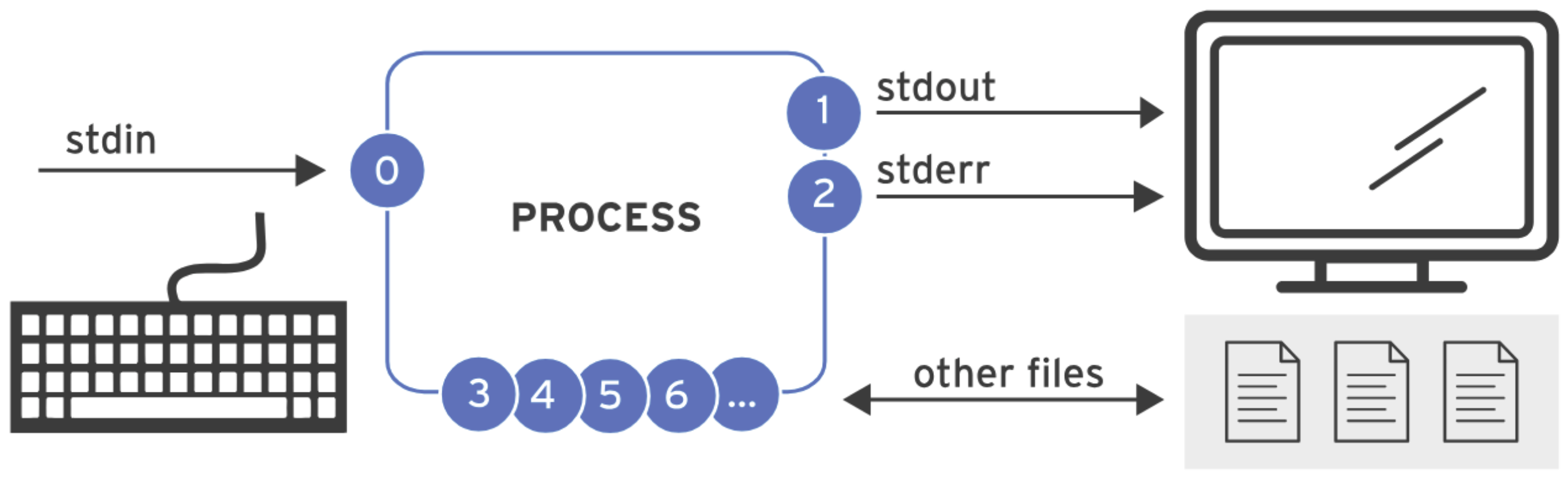 Process I/O channels (file descriptors)