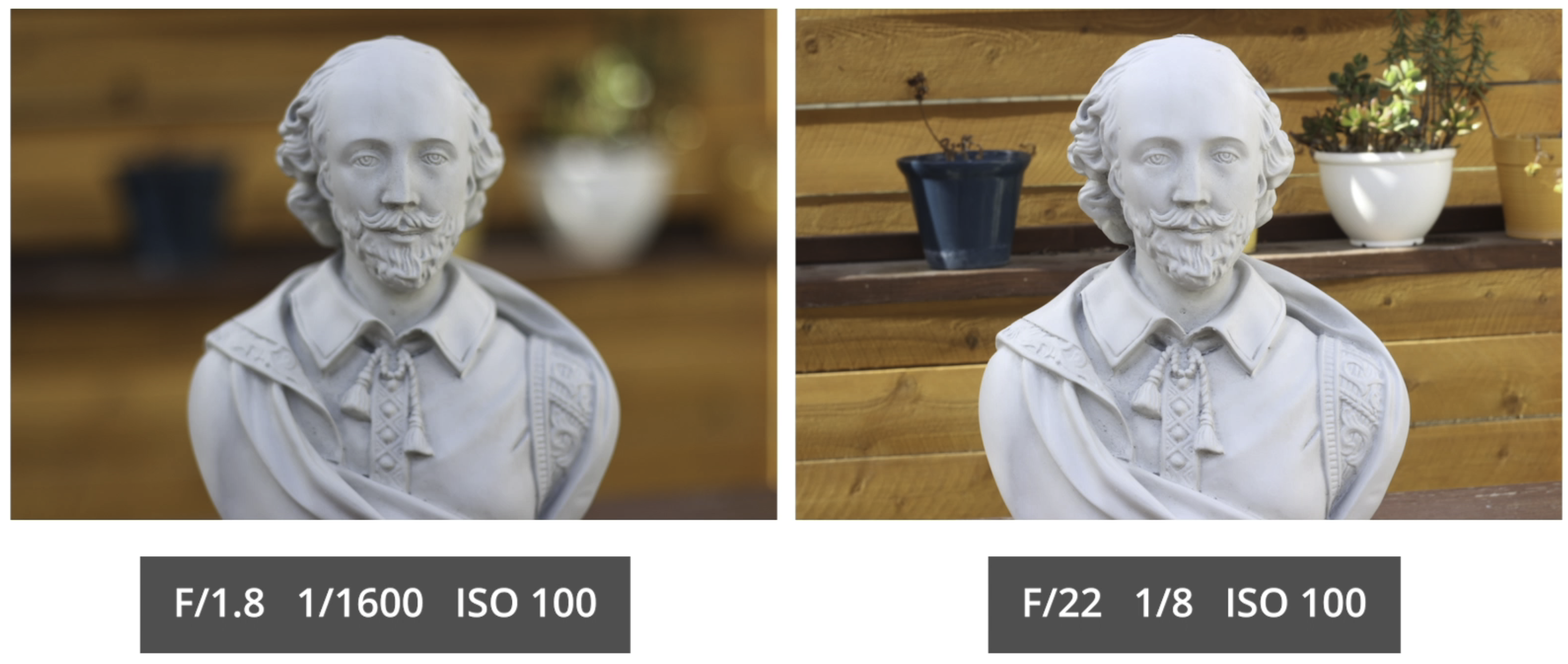DOF Comparison