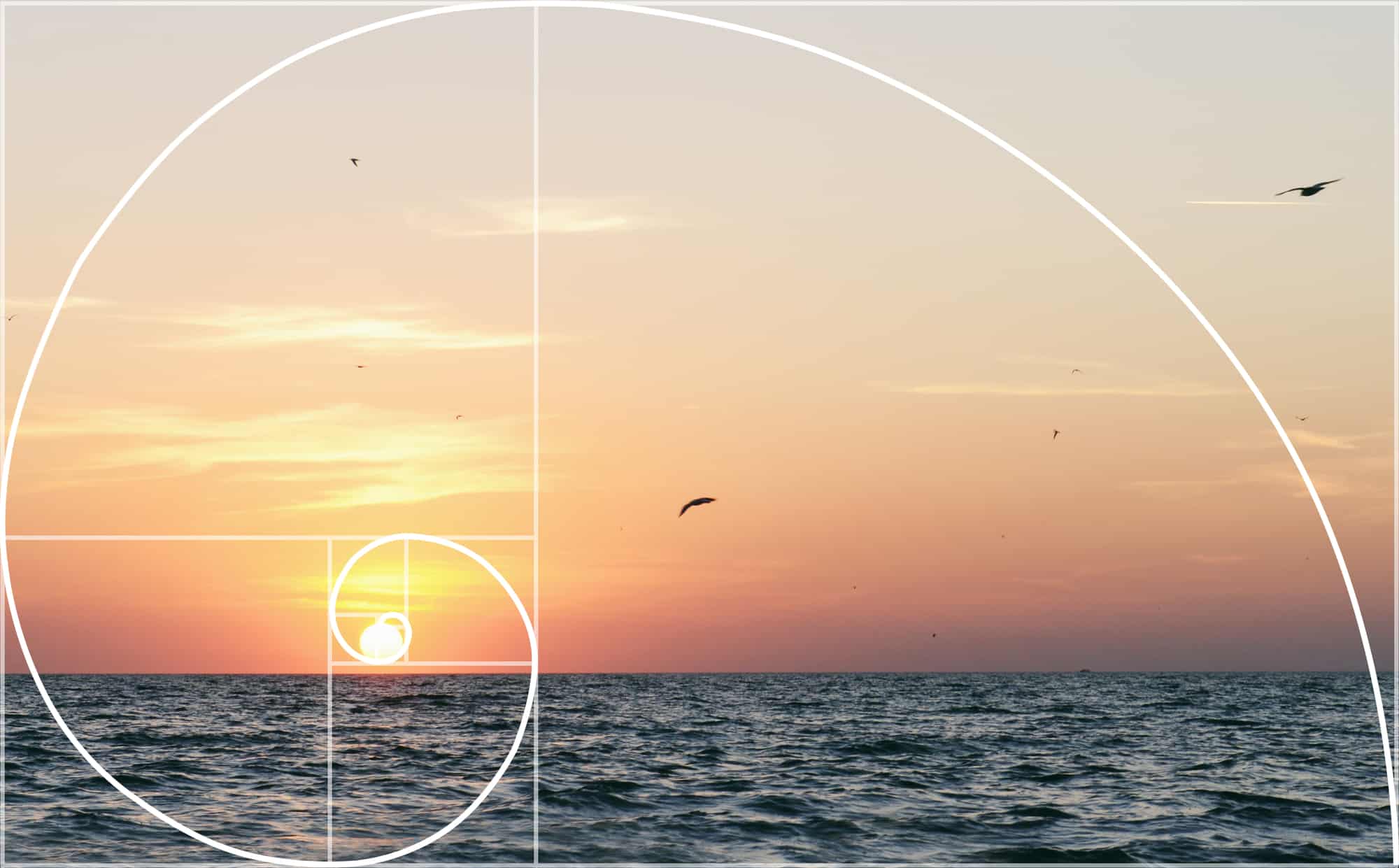 Golden Ratio