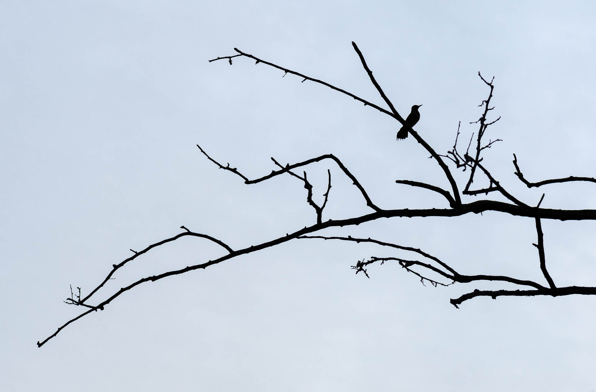 Negative Space